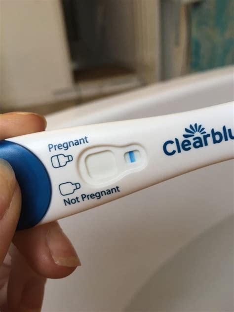 . . High bbt but negative pregnancy test